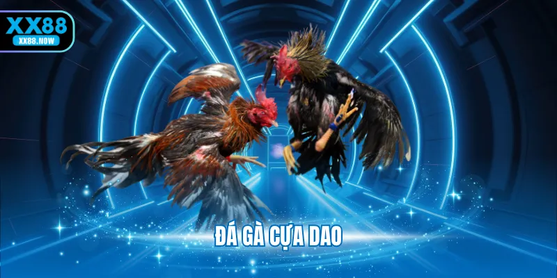 đá gà cựa dao