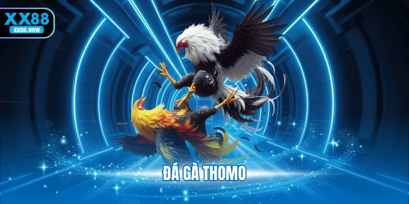 đá gà thomo