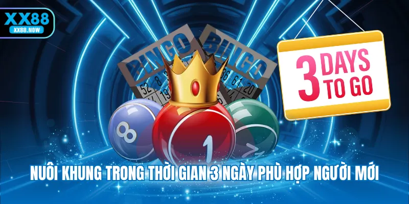 Nuôi khung trong thời gian 3 ngày phù hợp người mới