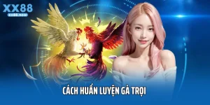 Cách Huấn Luyện Gà Trọi