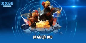 Đá Gà Cựa Dao 2025